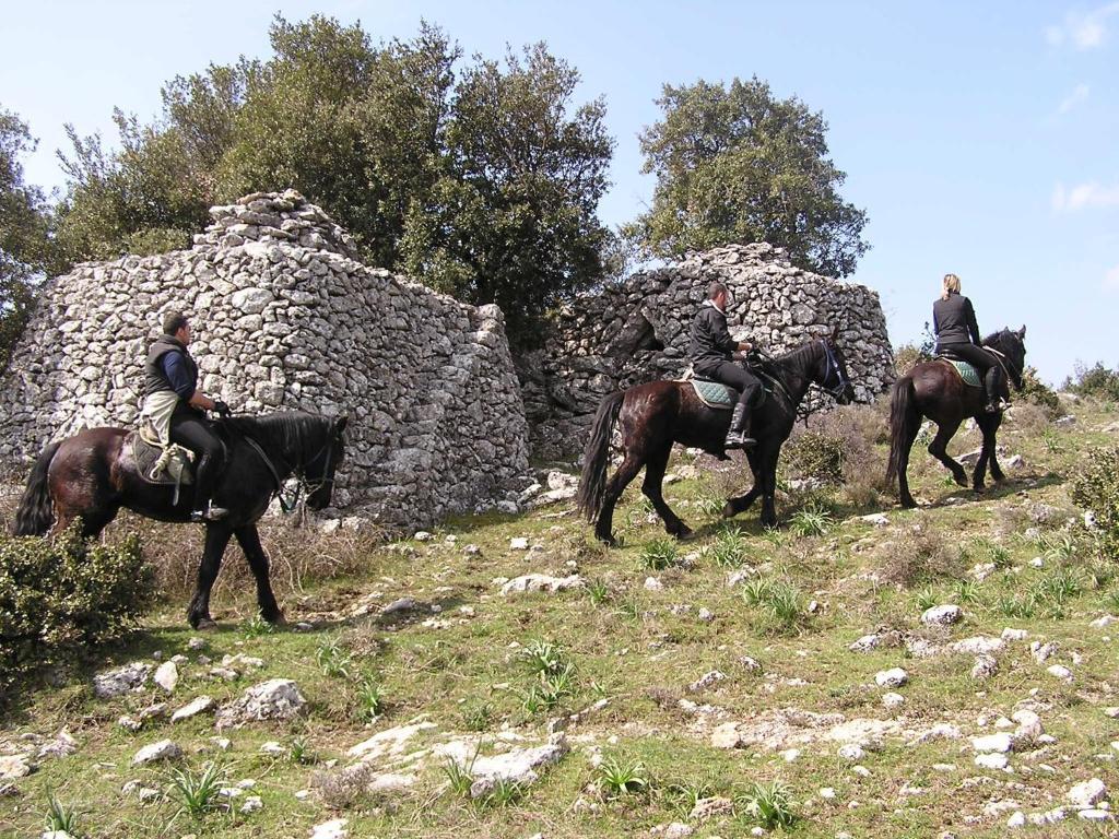 Hotel Menta E Rosmarino Monte SantʼAngelo Εξωτερικό φωτογραφία