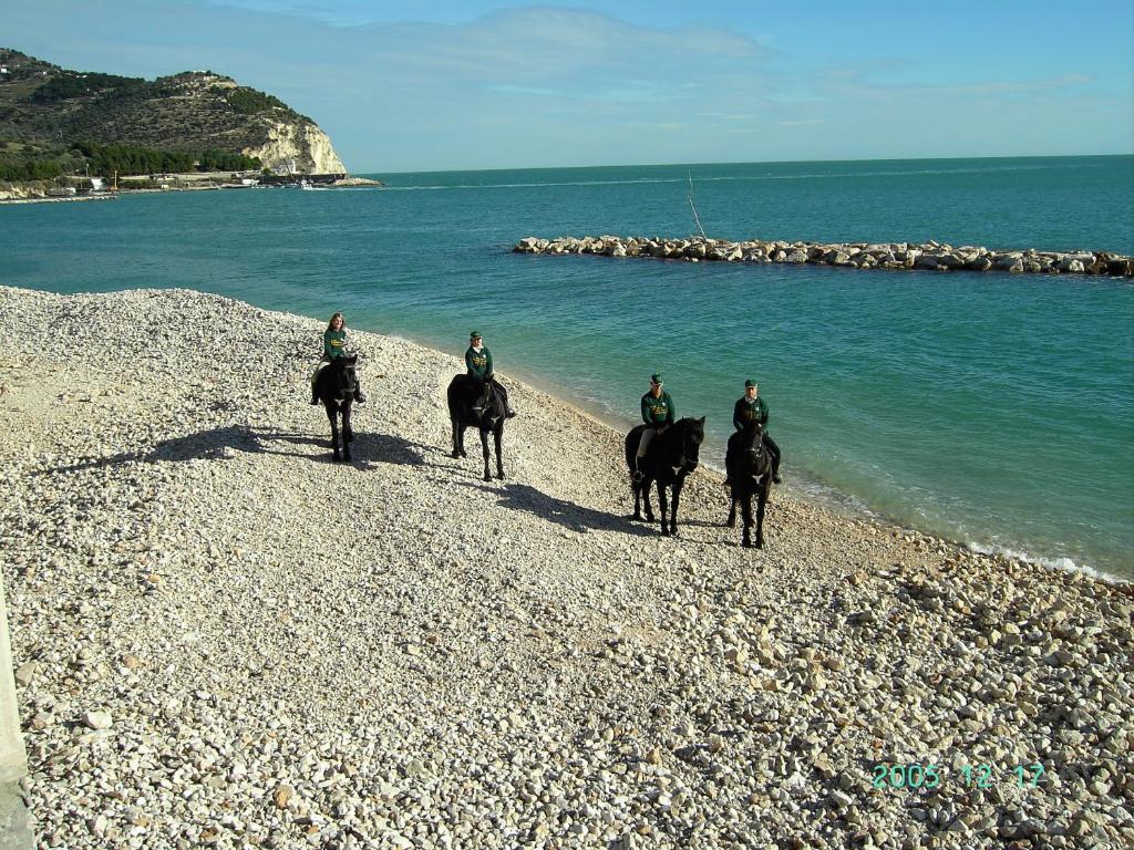 Hotel Menta E Rosmarino Monte SantʼAngelo Εξωτερικό φωτογραφία